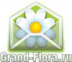 Логотип компании Доставка цветов Гранд Флора (ф-л г.Тихорецк)